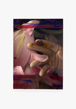 Luise Marchand