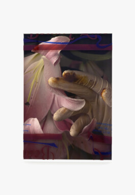 Luise Marchand