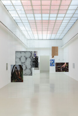 Luise Marchand