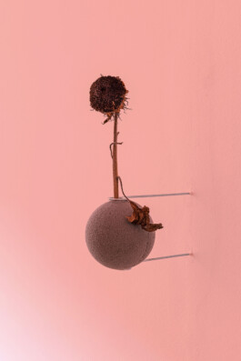 Luise Marchand